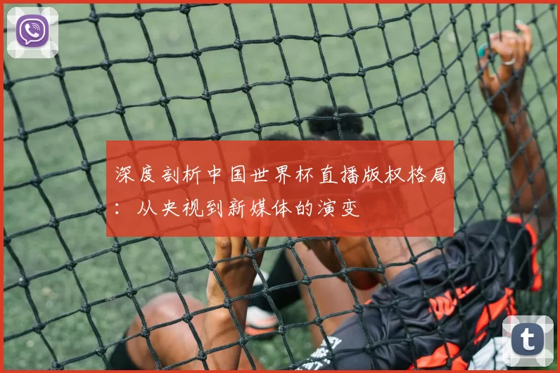 深度剖析中国世界杯直播版权格局：从央视到新媒体的演变