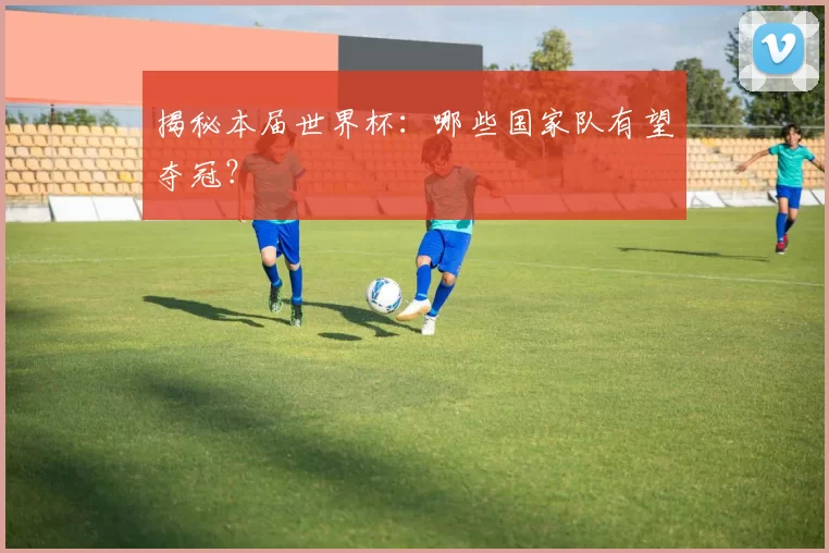 揭秘本届世界杯:哪些国家队有望夺冠?