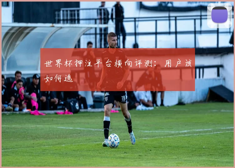 世界杯押注平台横向评测:用户该如何选