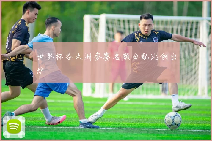 世界杯各大洲参赛名额分配比例出炉
