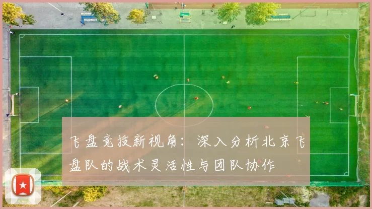 飞盘竞技新视角:深入分析北京飞盘队的战术灵活性与团队协作