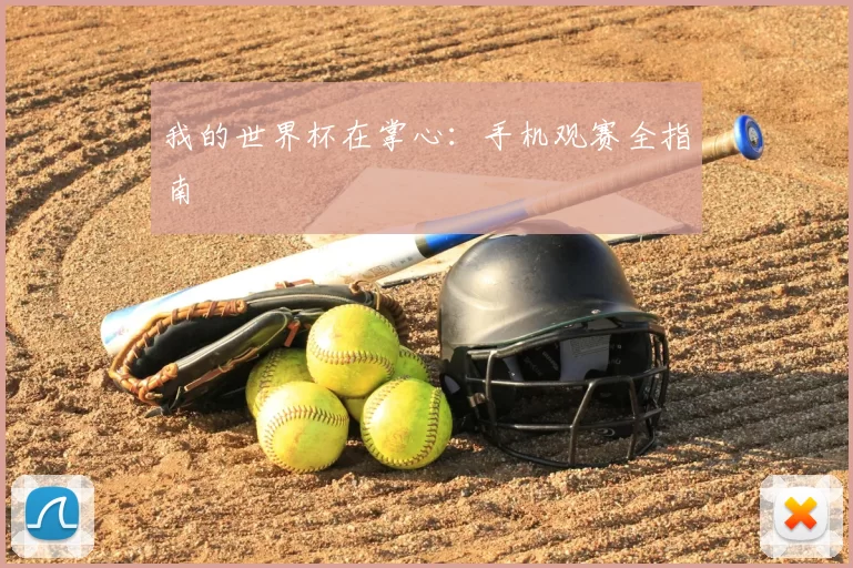 我的世界杯在掌心：手机观赛全指南