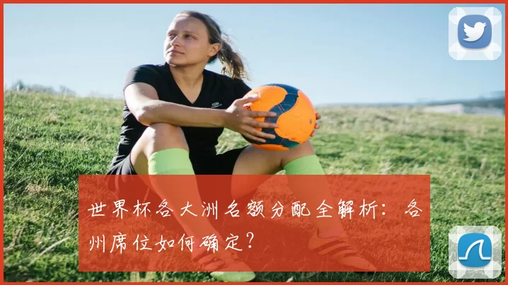 世界杯各大洲名额分配全解析:各州席位如何确定?