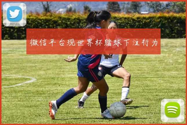 微信平台现世界杯赌球下注行为