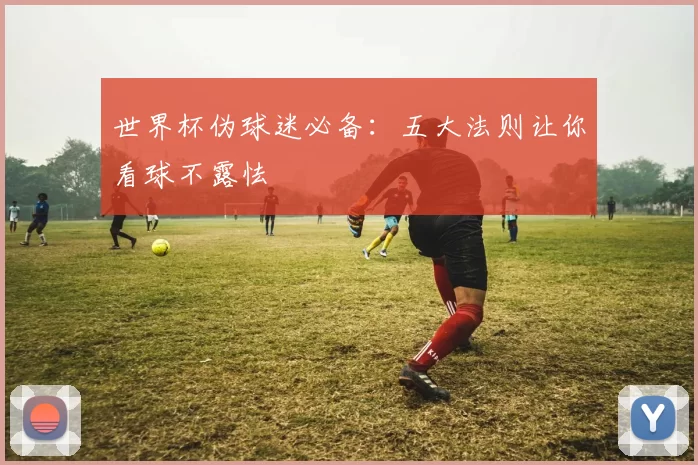 世界杯伪球迷必备：五大法则让你看球不露怯