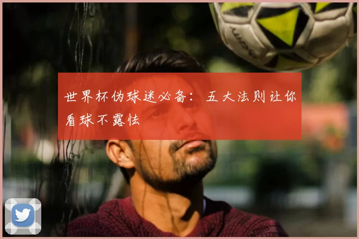 世界杯伪球迷必备：五大法则让你看球不露怯