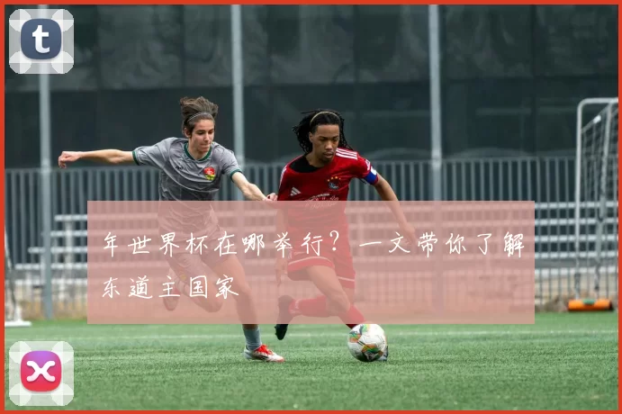年世界杯在哪举行？一文带你了解东道主国家