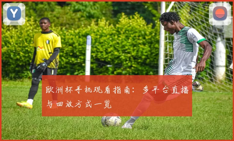 欧洲杯手机观看指南：多平台直播与回放方式一览