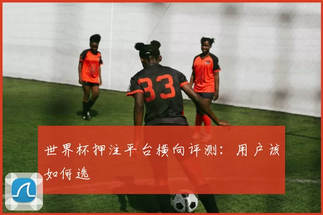 世界杯押注平台横向评测:用户该如何选