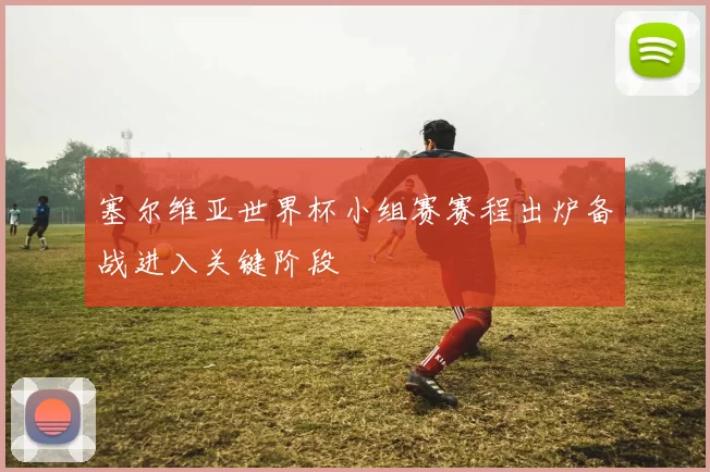 塞尔维亚世界杯小组赛赛程出炉备战进入关键阶段