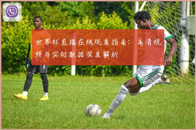 世界杯直播在线观看指南:高清视频与实时数据深度解析