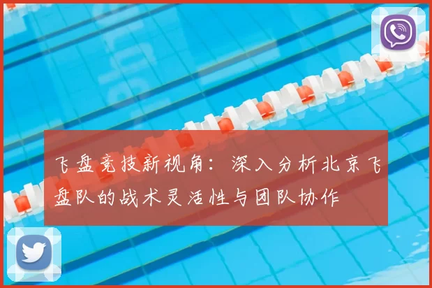 飞盘竞技新视角:深入分析北京飞盘队的战术灵活性与团队协作