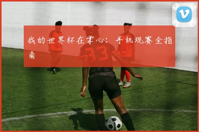 我的世界杯在掌心:手机观赛全指南