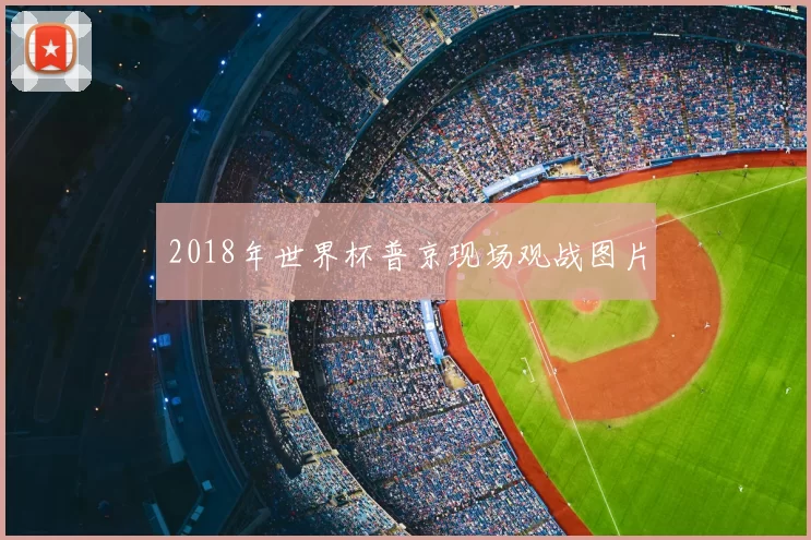 2018年世界杯普京现场观战图片