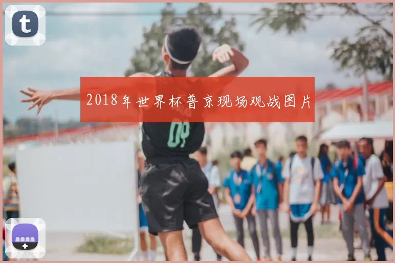 2018年世界杯普京现场观战图片