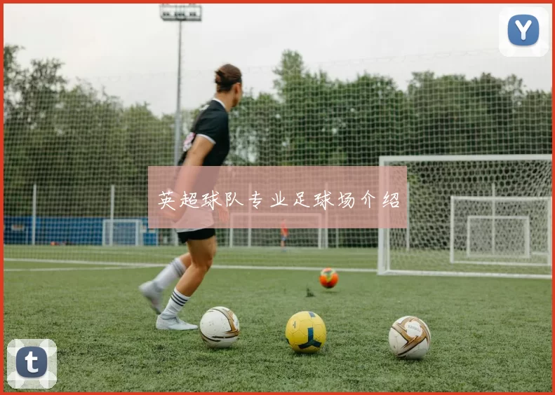 英超球队专业足球场介绍