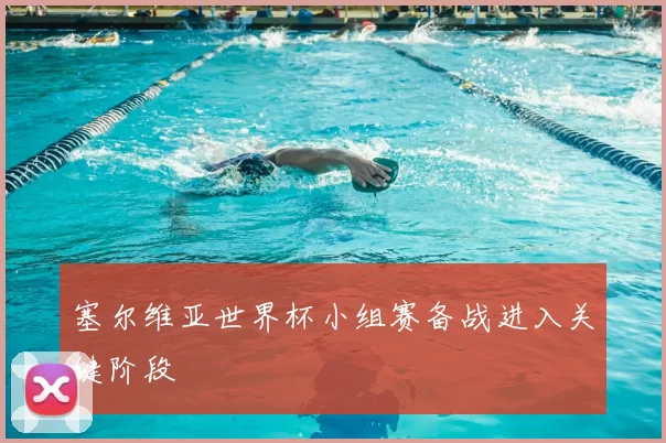 塞尔维亚世界杯小组赛备战进入关键阶段